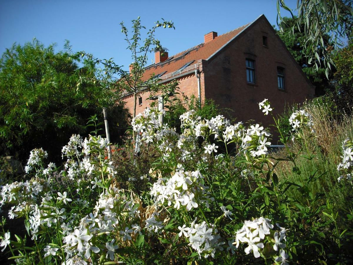 Botanische Botschaft Lejlighed Strodehne Eksteriør billede