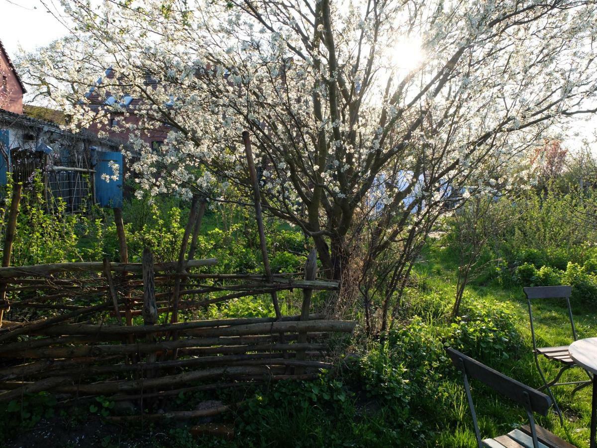 Botanische Botschaft Lejlighed Strodehne Eksteriør billede