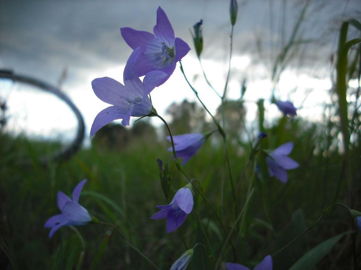 Botanische Botschaft Lejlighed Strodehne Eksteriør billede